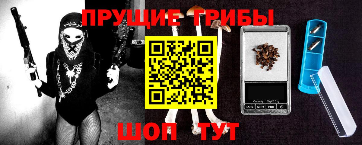 Псилоцибиновые грибы GOLDEN TEACHER Сафоново